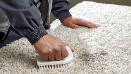 Professional Rug Cleaning Mambourin